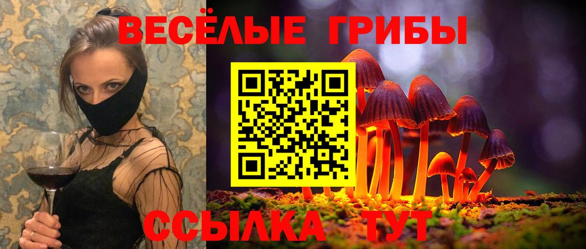 Галлюциногенные грибы MAGIC MUSHROOMS Благовещенск